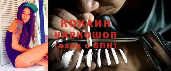 PSILOCYBIN Строитель