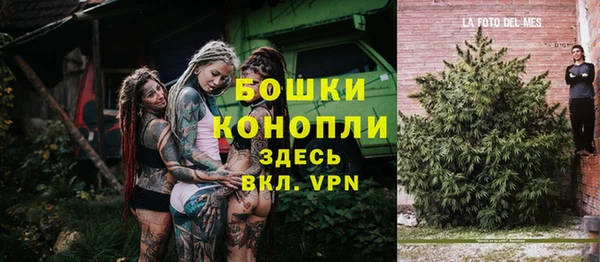 гидропоника Белоозёрский