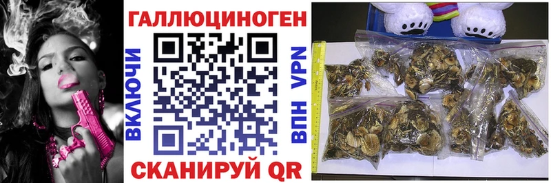 Псилоцибиновые грибы прущие грибы  Биробиджан 